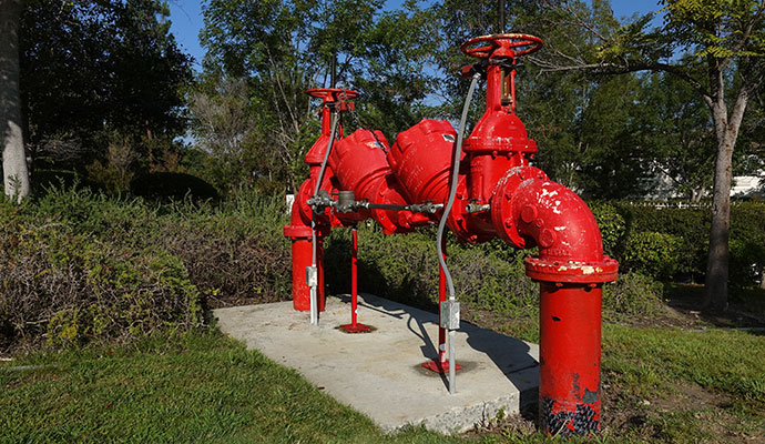Fire system backflow preventer
