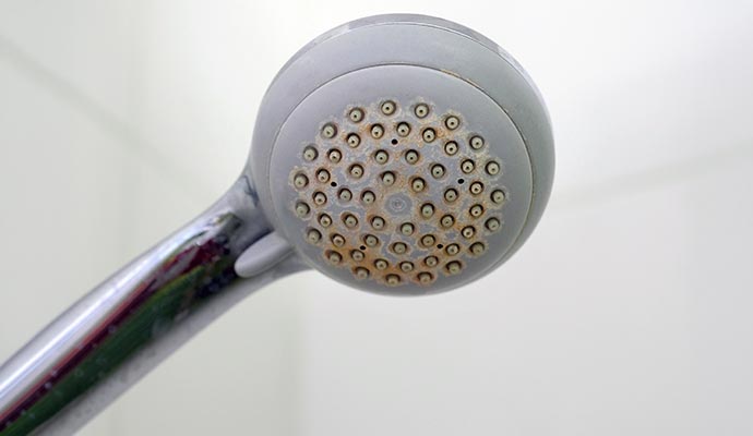 Rusty showerhead