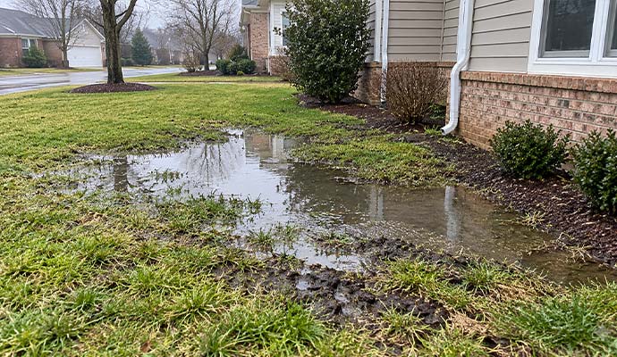 Flooded yard warning sign of failing sewer line